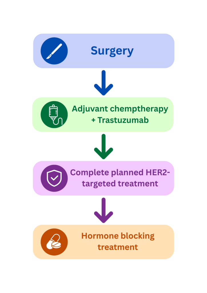 Treatment pathway for small node-negative HER2-positive breast cancer showing surgery, chemotherapy with trastuzumab, HER2-targeted therapy and hormone treatment.