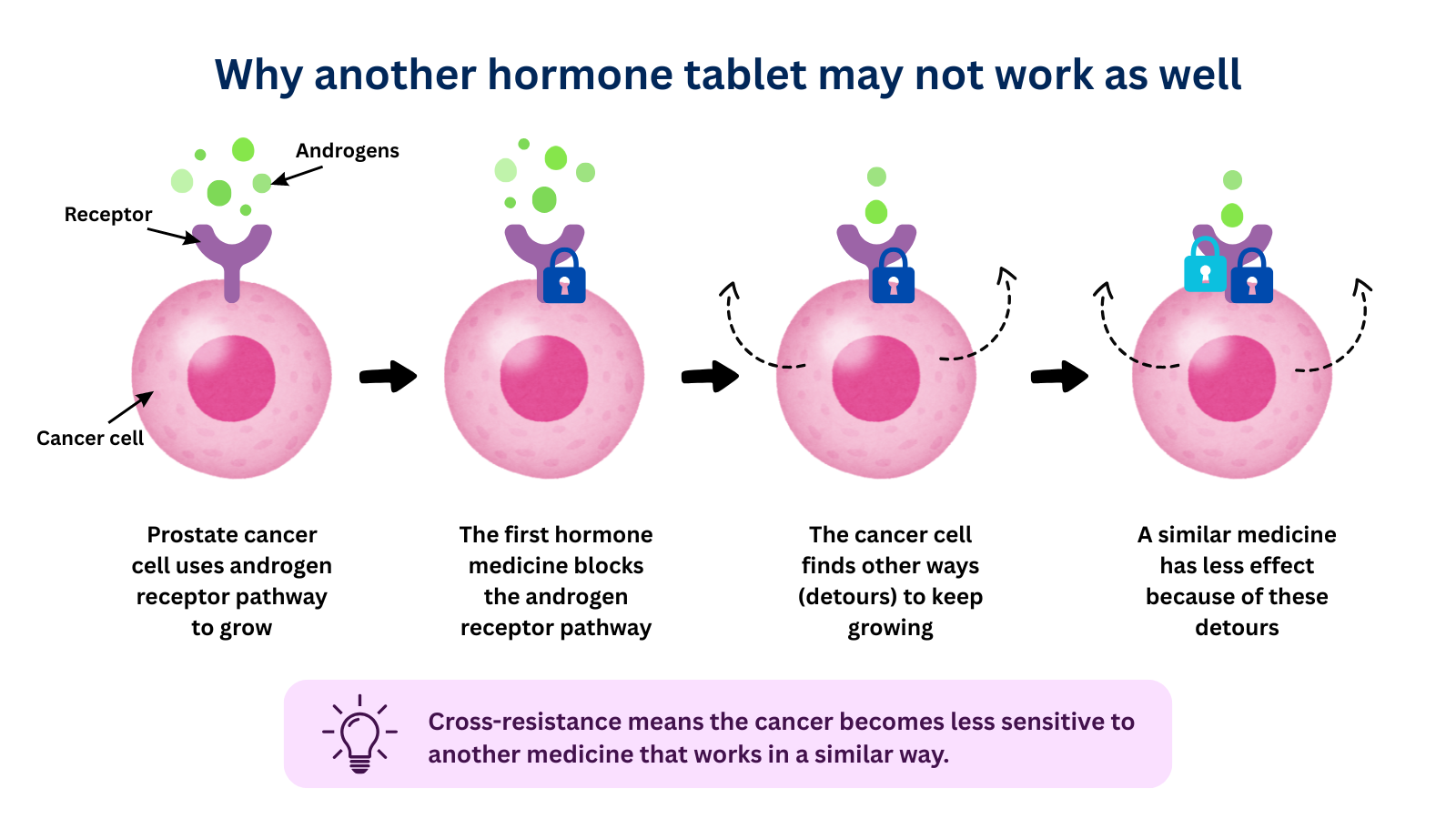 Diagram showing cross-resistance in prostate cancer after treatment with a hormone medicine targeting the androgen receptor pathway.