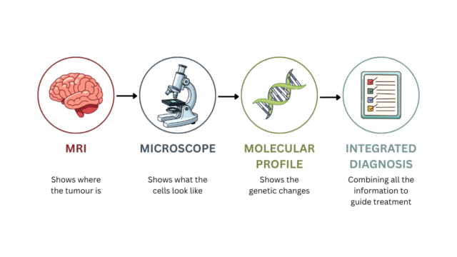 Brain tumour Melbourne infographic showing MRI, microscopy, molecular profiling and integrated diagnosis